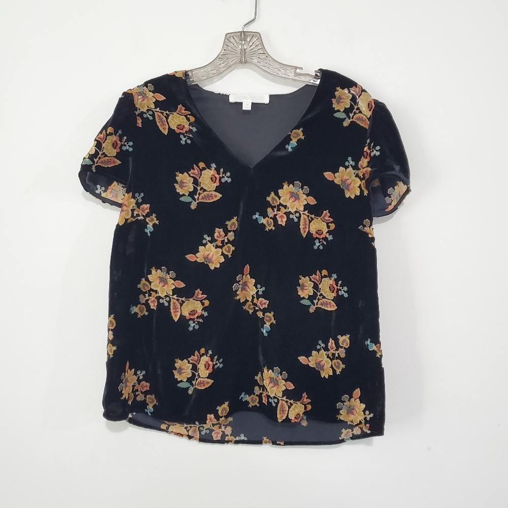 NWT Adyson Parker Velvet Burnout Black Floral Puff Sleeve Size Medium